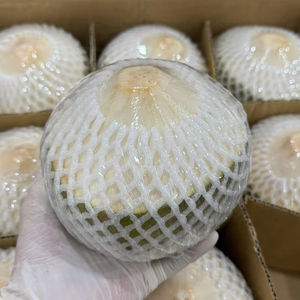 Producto agrícola de Vietnam de coco fresco de alta calidad - Product Image 1