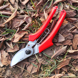 Farmers Pruning Shears 120 Stainless Steel Blade 45mm Length <b>Butterfly</b> Structure For Flowers Fruit Trees <b>Garden</b> Trimming - Product Image 2
