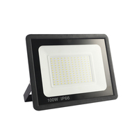 Projecteur LED 220V 30W IP66 pour terrains de sport, éclairage de magasin de sport avec détecteur de mouvement, projecteur LED fin