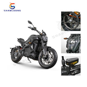 Motocicleta Eléctrica Vintage Shawloong SL-DMGC, Superpotente de 3000W, Rápida, para 2 Personas, Motocicleta Chopper para Adultos, 72V 180AH de Litio - Product Image 6