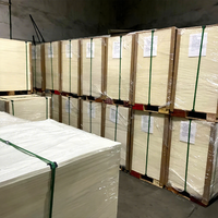 Hochwertiges 55-300g/m² holzfreies Papier-Sortiment: Weiß, cremig, elfenbeinfarben, glatt – für Testbücher & Zertifikate, Druckrollenpapier