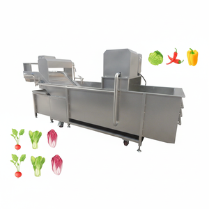 Máquina Profesional de Acero Inoxidable para Lavar y Pelar Uvas con Certificado CE, Capacidad de 200-1000 Kg/h, Potencia de 1.1KW - Product Image 1