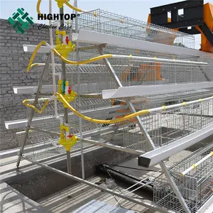 Nueva jaula automática <span class=keywords><strong>para</strong></span> pollos con batería de capa <span class=keywords><strong>para</strong></span> granjas avícolas con sistema de alimentación automática eficiente - Product Image 1