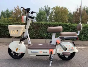 Cute High Speed City 2 Wheel E Bike 350w Electric Bike Electric Bicycle And 48v Electric Scooter For Sale