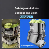 Elektrische koolshredder, verstelbare salade-snijder, groentesnijder, ui- en koolsnijder