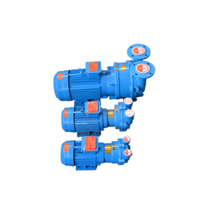 Pompe à vide à anneau liquide horizontale série 2BV de BOYUAN, haute économie d'énergie, personnalisable - Product Image 3