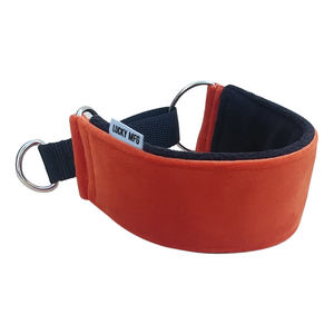 <span class=keywords><strong>Collar</strong></span> de perro Whippet con diseño de martingala ensanchado resistente personalizado <span class=keywords><strong>Collar</strong></span> de perro de 3 pulgadas de ancho de tela de terciopelo - Product Image 3