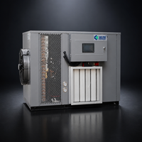 Papaya-droogmachine warmtepomp fruitdehydrator voor gedroogde papaya plakjes