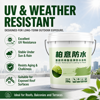 Revêtement acrylique imperméable résistant aux intempéries pour la réparation des toitures extérieures, peinture de toiture élastomère résistante aux UV