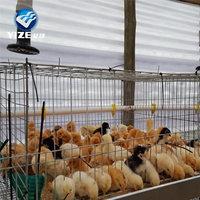 Vente flash Cage à poussins de type H Petite cage à poulets Équipement d'élevage avicole