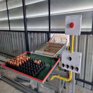 Nouvel équipement automatique de volaille pour la ferme de poulet pour l'élevage d'animaux et de volailles - Product Image 6