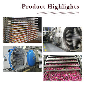 Máquina de Liofilización Automática AICN para <span class=keywords><strong>Frutas</strong></span> y Verduras, Capacidad de 300 kg - Product Image 5