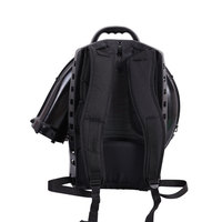 Soplador de hojas de mochila EB9510 de 85 CC con motor de gasolina industrial de 2 tiempos sin escobillas, certificado CE, para limpieza de carreteras y quitanieves DIY
