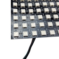 Panneau de pixels LED WS2812 WS2812B SK6812, flexible, adressable, matrice 8*8 16*16 8*32, module intelligent SMD 5050 RGB RGBIC, écran de pixels