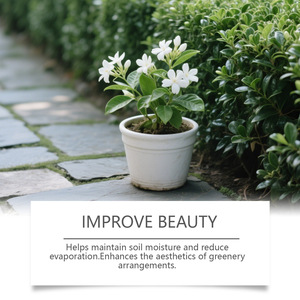 MOONSPRY สารปรับสภาพดิน DIY - Product Image 3