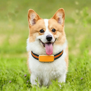 Health Monitoring Locator Pet Tracker <b>GPS</b> Smart <b>Device</b> For Dogs Cats Real Time Tracking Waterproof IP67 4G Network - Product Image 1