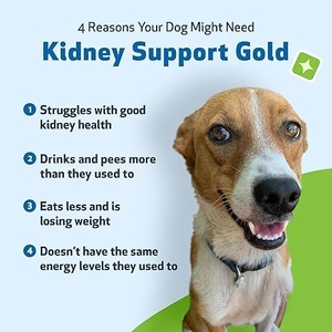 Gotas Líquidas de Apoyo Renal OEM/ODM para Mascotas - Favorecen la Micción Regular - Suplementos para la Salud Renal - Tratamiento para los Riñones - Product Image 5