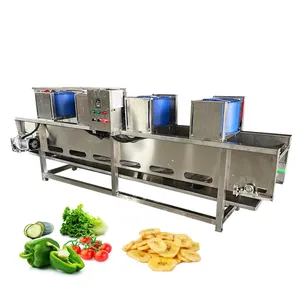 Belt Type Air Blower Leafy Vegetable Water Drying Removal Plantain Chips Deoiling Dewatering Machine