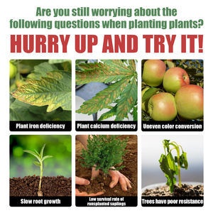 ผงเร่งรากพืช ออร์แกนิค สำหรับกิ่งปักชำ ต้นกล้า และการย้ายปลูก - Product Image 3