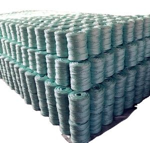 1-3Mm PP <span class=keywords><strong>Split</strong></span> <span class=keywords><strong>Film</strong></span> Đóng Gói Baler <span class=keywords><strong>Twine</strong></span> Spool Nông Nghiệp Baling <span class=keywords><strong>Twine</strong></span> <span class=keywords><strong>Twisted</strong></span> Nông Nghiệp Raffia Baler <span class=keywords><strong>Twine</strong></span> - Product Image 4