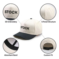 Casquettes de baseball personnalisées avec logo brodé sportif en relief 3D, broderie bicolore, motifs fruits/argyle, 100% coton, tissu courant