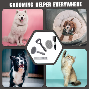 Peine Metálico para Mascotas, Herramienta de Aseo para Perros y Gatos, Eliminación de Pelo de Perro y Gato - Product Image 5