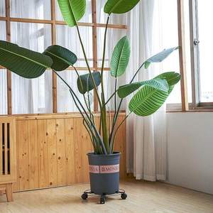 <span class=keywords><strong>Support</strong></span> rond en métal pour plantes Mover on Wheels Flower <span class=keywords><strong>Pot</strong></span> Holder - Product Image 3