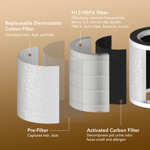 Antop OEM ODM tùy chỉnh thông minh Máy tính để bàn HEPA lọc Pet Máy lọc không khí với mèo đồ chơi - Product Image 2