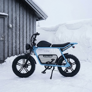 Vélo électrique tout-terrain résistant aux crevaisons avec batterie au lithium 16Ah, vélo électrique robuste pour l'exploration hivernale sur la neige - Product Image 6