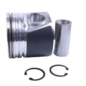Pièces détachées pour chariot télescopique Piston et segment 8094740 pour boîtier Pièces détachées pour chariot télescopique - Product Image 5