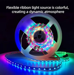 Tira de Luces LED Flexible Tipo S de 6mm, Direccionable, 5050 RGBIC <span class=keywords><strong>WS2812B</strong></span> <span class=keywords><strong>5V</strong></span>, Forma de S, 60led/m, para Letreros Luminosos DIY, Gran Venta - Product Image 3