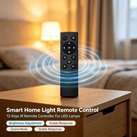 Control Remoto Inteligente con Luz LED e Infrarrojos JCXK de 12 Teclas, Plástico ABS, OEM, ODM, Personalizado