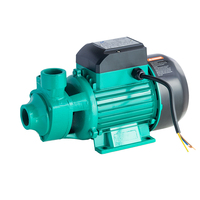 Qlozone QB60 QB80 Pompe centrifuge Pompe de surpression électrique haute pression Pompe à eau de circulation d'irrigation à usage domestique automatique