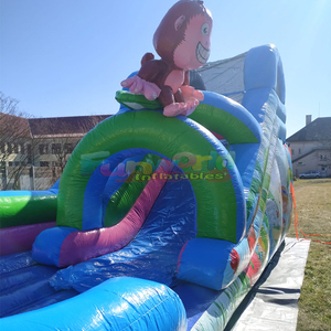 Toboggan aquatique gonflable singe bounce <b>house</b> waterslide jumpers <b>inflatable</b> monkey water slide with pool - Product Image 2