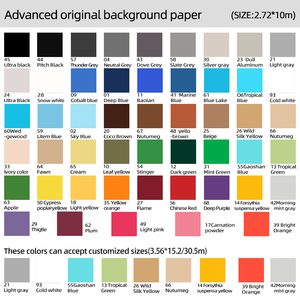 Meilleure Vente <span class=keywords><strong>Fond</strong></span> de <span class=keywords><strong>Studio</strong></span> Photo <span class=keywords><strong>Papier</strong></span> Sans Couture de 2,72 m x 11 m pour Photographie - Product Image 6
