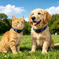Collier GPS pour chien et chat, certifié Apple Find My, étanche IP68, anti-perte, réfléchissant, réglable, tailles S, M, L