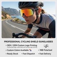 Lunettes de soleil polarisées pour le cyclisme, TR90, UV400, enveloppantes, légères, sportives, logo personnalisé, stock disponible, expédition rapide