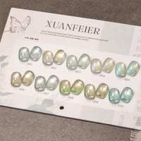 Set Kutek Gel UV Cat Eye 10 Warna Desain Baru 15ml Efek Magnetik untuk Salon Kuku Profesional