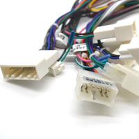 Harness Kabel Listrik Mobil Distribusi Tinggi 2*10 Pin Harness Kawat Mobil untuk Toyota