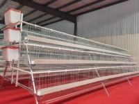 Cage à poulets galvanisée à 3 couches et 4 portes de qualité export, capacité de 96 poulets pour l'élevage de volailles en pondeuses