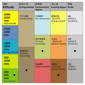Thé Oolong Dong Ding torréfié foncé de qualité supérieure de Taiwan, en feuilles, multi-arômes, 600g - Product Image 2