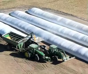 Sac en plastique pour ensilage résistant aux UV pendant 18 <span class=keywords><strong>mois</strong></span>, de 5 à 12 pieds, sac de protection pour silo à céréales agricole - Product Image 6