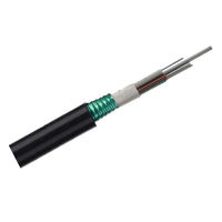 Cable de Fibra Óptica Blindado de 24 Hilos, Cable de Fibra Óptica Metálico Blindado de 24f, Precio por Metro del Rollo