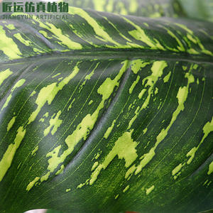 <span class=keywords><strong>ต้น</strong></span>ไม้ปลอมสีเขียวตลอดปีเทียมสำหรับตกแต่งห้องนั่งเล่นในร่มชั้นดอกไม้<span class=keywords><strong>บอน</strong></span>ไซขนาดใหญ่ - Product Image 2