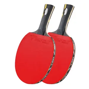 Profesyonel masa tenisi raketi Ping-Pong Paddle toptan kapalı aktivite için