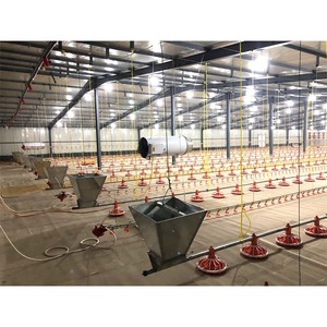 New Tự Động Gia Cầm Nhà Gà Thịt Phẳng Nâng Cao Hệ Thống Gà Trang Trại Cho Ăn Thiết Bị Động Cơ Bơm & Bền Trung Chuyển Pan - Product Image 2