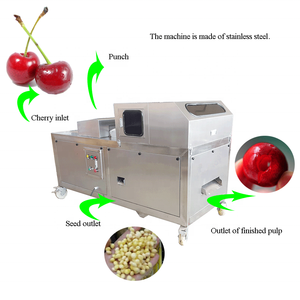 Nouvelle machine à dénoyauter les prunes / dénoyauteur <span class=keywords><strong>de</strong></span> <span class=keywords><strong>cerises</strong></span> / machine à dénoyauter les fruits / machine à retirer les <span class=keywords><strong>noyaux</strong></span> <span class=keywords><strong>de</strong></span> <span class=keywords><strong>cerises</strong></span> - Product Image 3