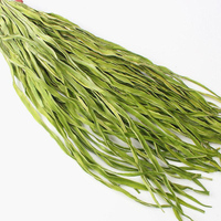 Légumes Gong Chi séchés chinois, Yamakurage séché pour restaurant