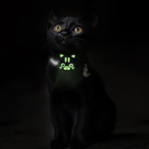 Chống Mất Airtag Định Vị Theo Dõi Sáng Không Thấm Nước Có Thể Điều Chỉnh Mèo Cổ Áo Dễ Thương Phim Hoạt Hình Phản Quang Nylon Vật Nuôi Phụ Kiện - Product Image 4