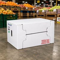 Conteneur de transport frigorifique ondulé robuste enduit de cire, résistant aux UV, étanche, pour volailles (poulet, canard, dinde) congelées